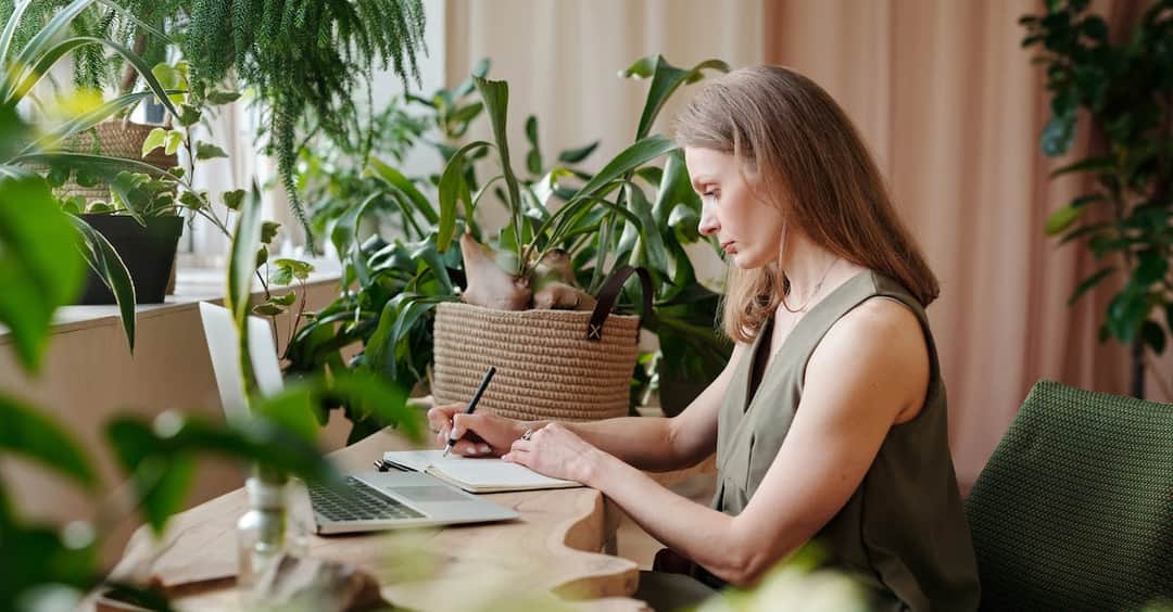 Ekologia - co to jest? Czym zajmuje się ta nauka o środowisku?