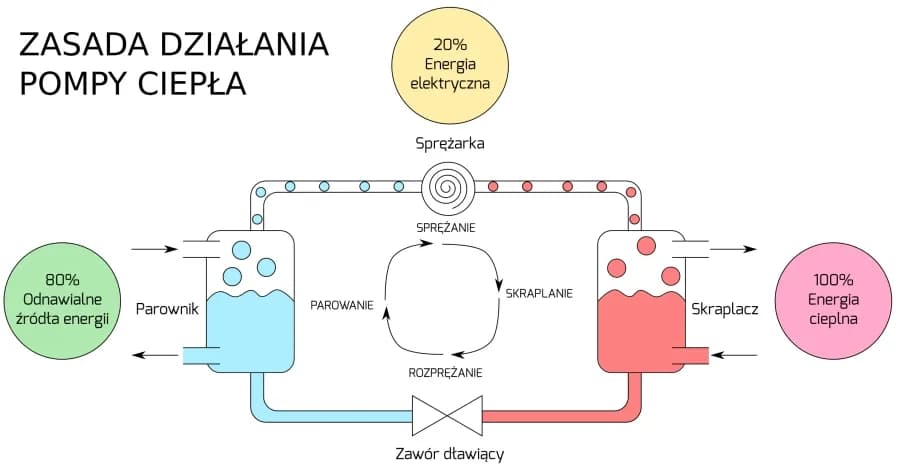 Jak działa pompa ciepła? Wyjaśniamy zasadę działania pompy ciepła w domu